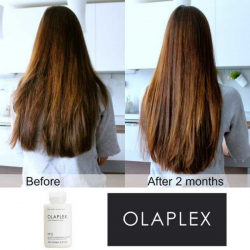 Olaplex N°3 Hair Perfector Holiday Ornament 50ml