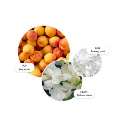 MOLTON BROWN Graceful apricot & freesia Body Lotion 300ml