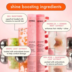 AMIKA mirrorball shine protect antioxidant shampoo