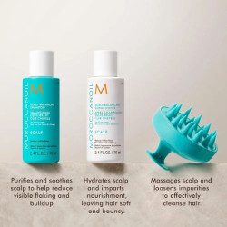 Moroccanoil Scalp care trio