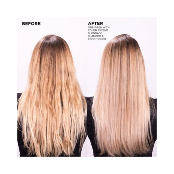 Redken Blondage Before After Blonde Hair