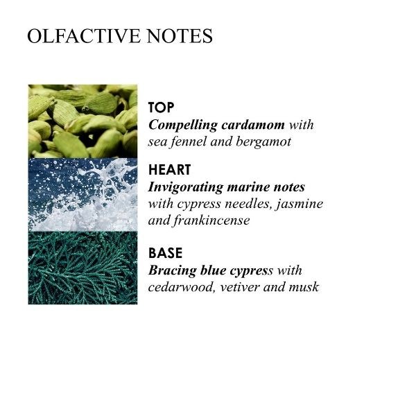 Molton Brown Recharge Gel Bain & Douche Coastal Cypress & Sea Fennel